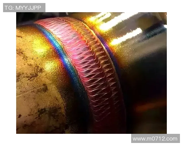 排球新手必看：从基础力量训练到实战技巧的全面指南